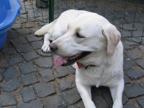 Kopie (1) von IMG_0186