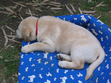 Kopie (1) von IMG_0179