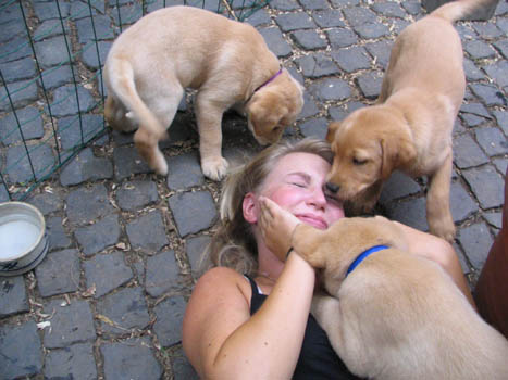 Kopie (1) von IMG_0210