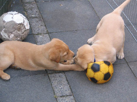 Kopie (1) von IMG_0231