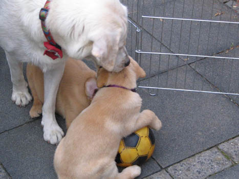 Kopie (1) von IMG_0233