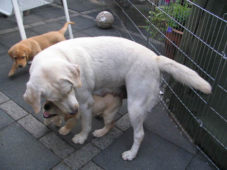 Kopie (1) von IMG_0251