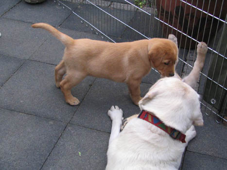 Kopie (1) von IMG_0258