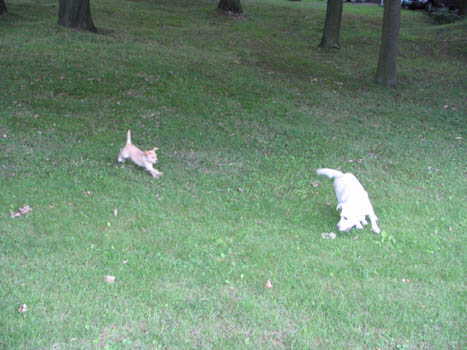 Kopie (1) von IMG_0004