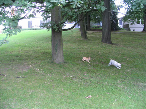 Kopie (1) von IMG_0005