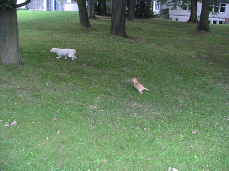 Kopie (1) von IMG_0006