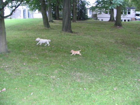 Kopie (1) von IMG_0007