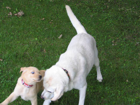 Kopie (1) von IMG_0011