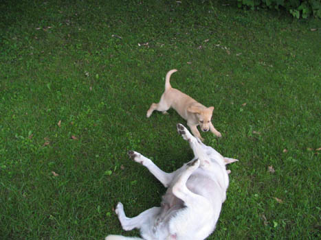 Kopie (1) von IMG_0012