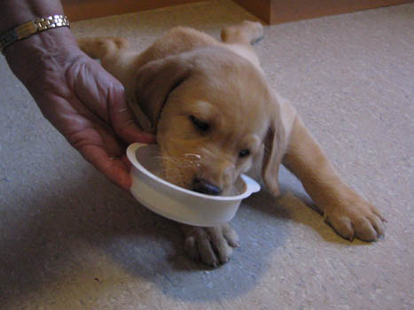 Kopie (1) von IMG_0057