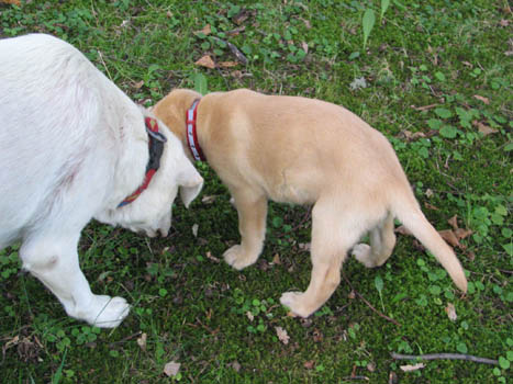 Kopie (1) von IMG_0083