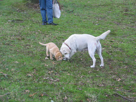 Kopie (1) von IMG_0091