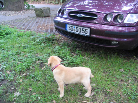 Kopie (1) von IMG_0098