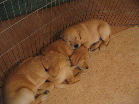 Kopie (1) von IMG_0348