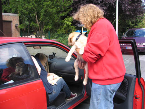 Kopie (1) von IMG_0360