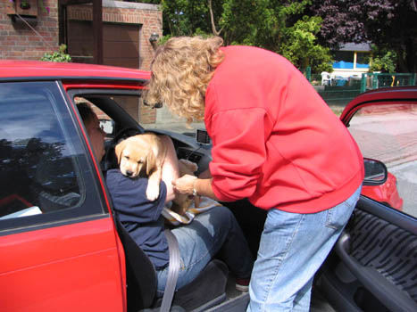 Kopie (1) von IMG_0363