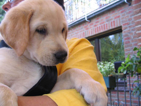 Kopie (1) von IMG_0430